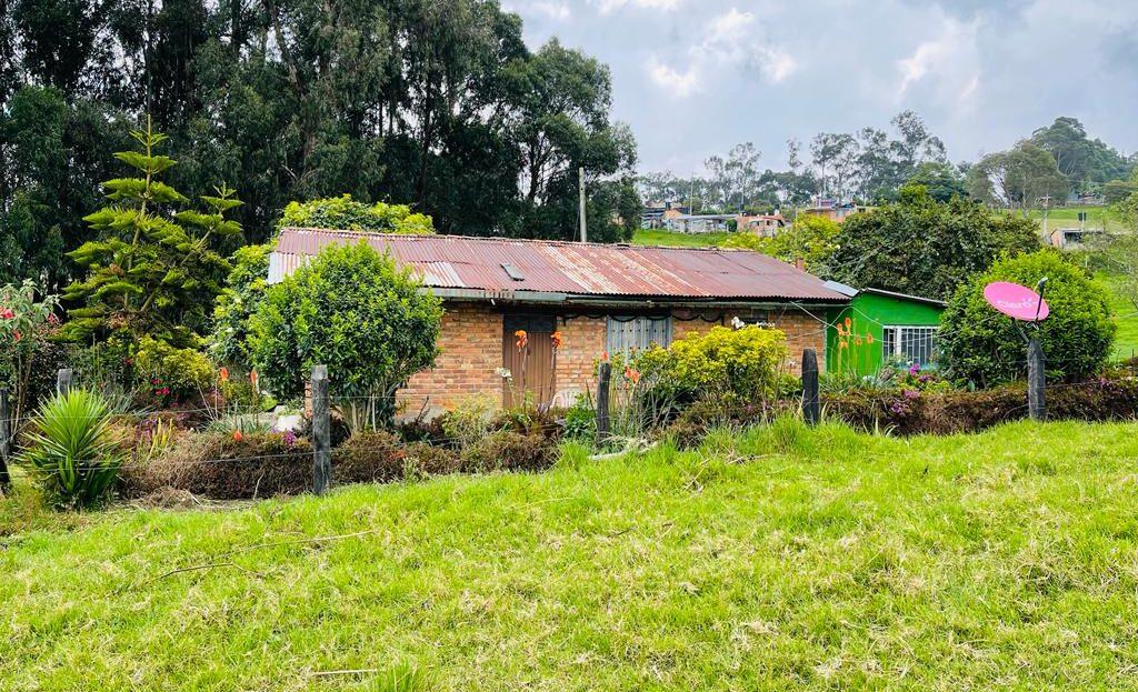 WhatsApp Image 20 06 01 at 12.12.25