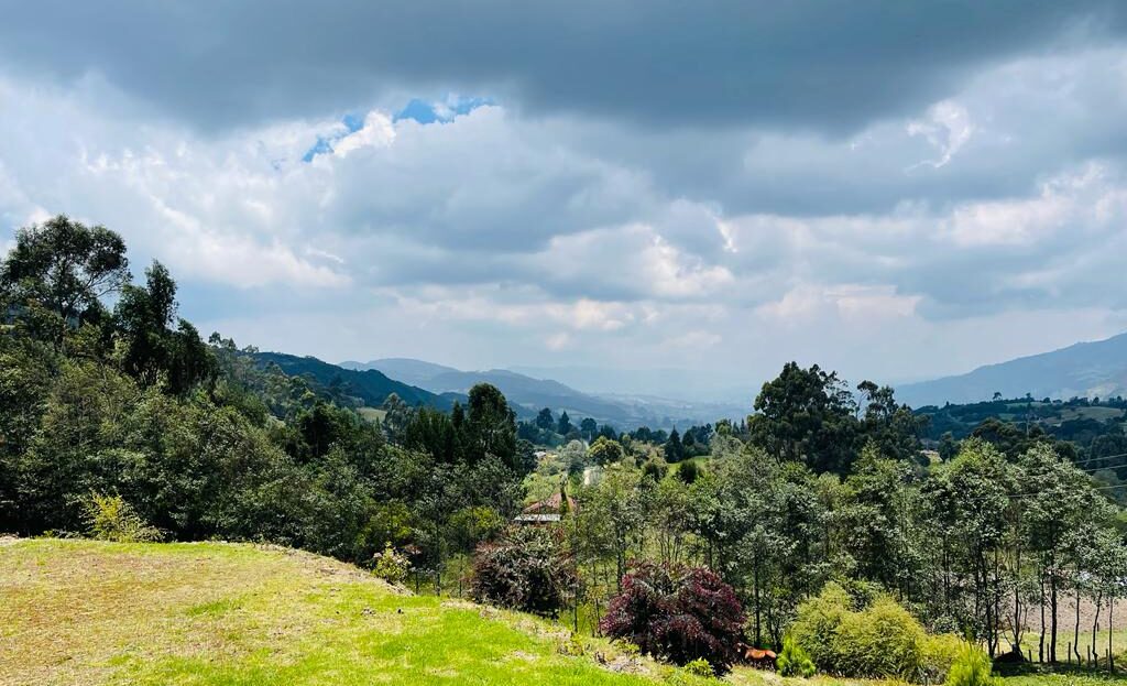 WhatsApp Image 2023 03 31 at 10.05.00 AM 1