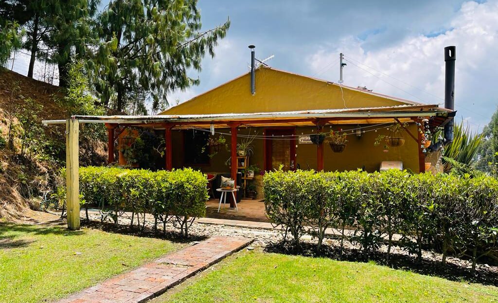 WhatsApp Image 2023 03 31 at 10.05.02 AM 3