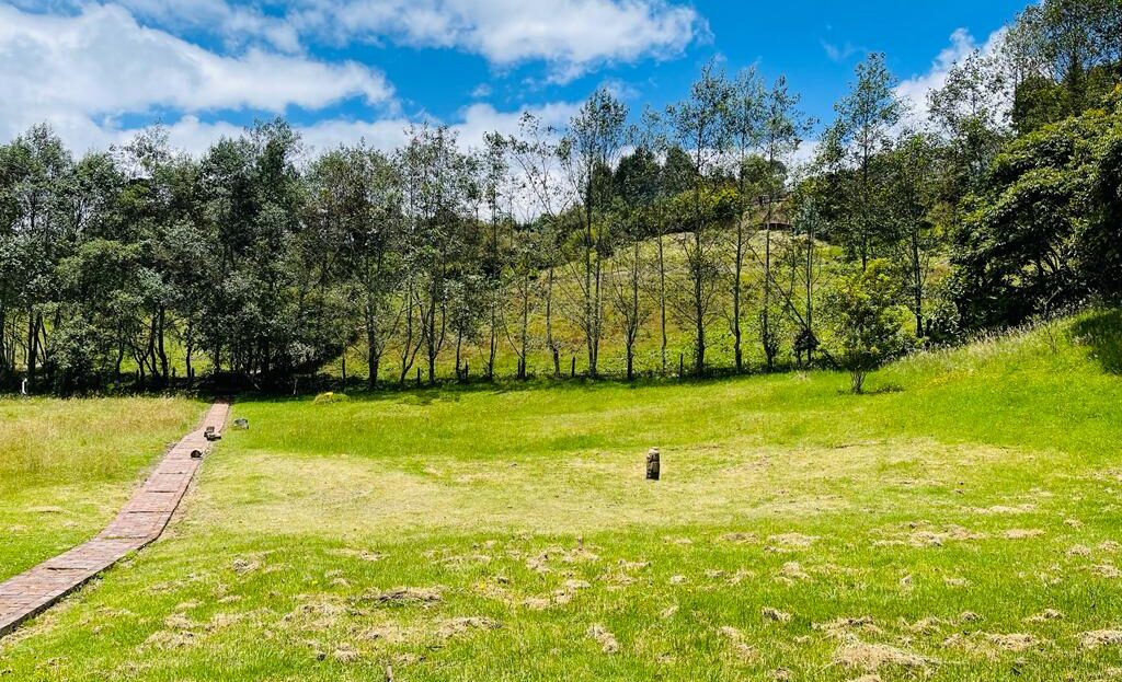 WhatsApp Image 2023 03 31 at 10.05.03 AM