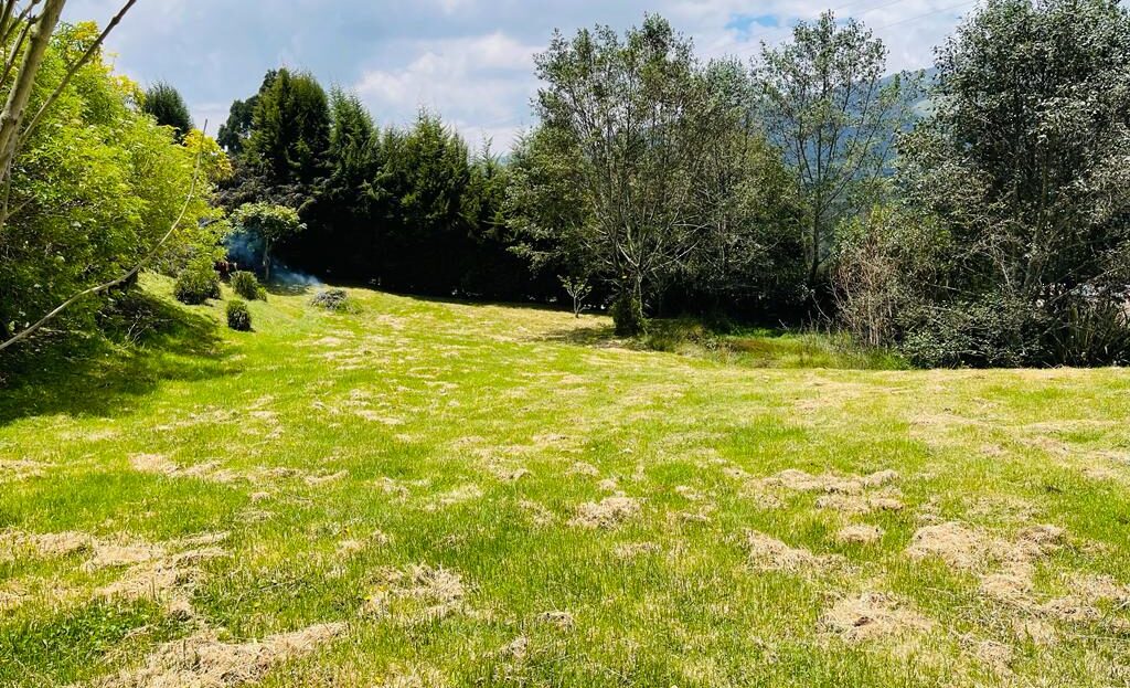 WhatsApp Image 2023 03 31 at 10.05.03 AM 2