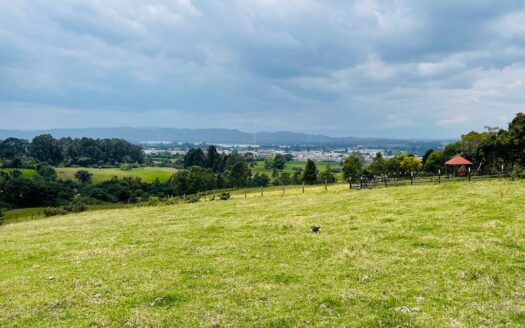 WhatsApp Ime 2023 06 01 at 12.12.25