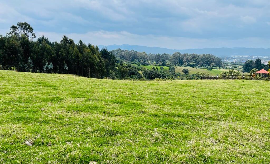 hatsApp Image 2023 06 01 at 12.12.25