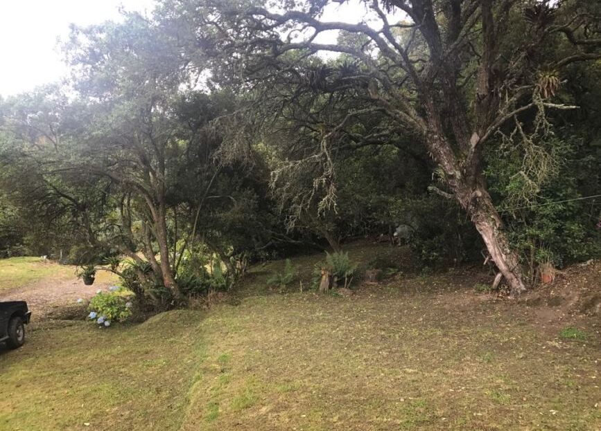 WhatsApp Image 2018 04 04 at 4.08.03 PM 7