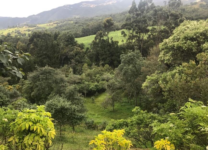 WhatsApp Image 2018 04 04 at 4.08.32 PM 2