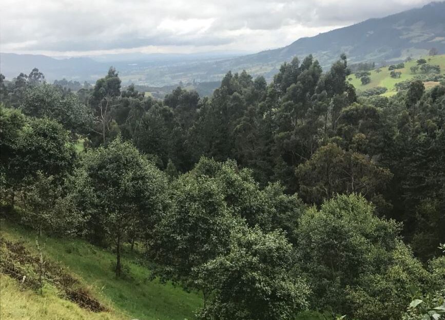 WhatsApp Image 2018 04 04 at 4.08.32 PM 3