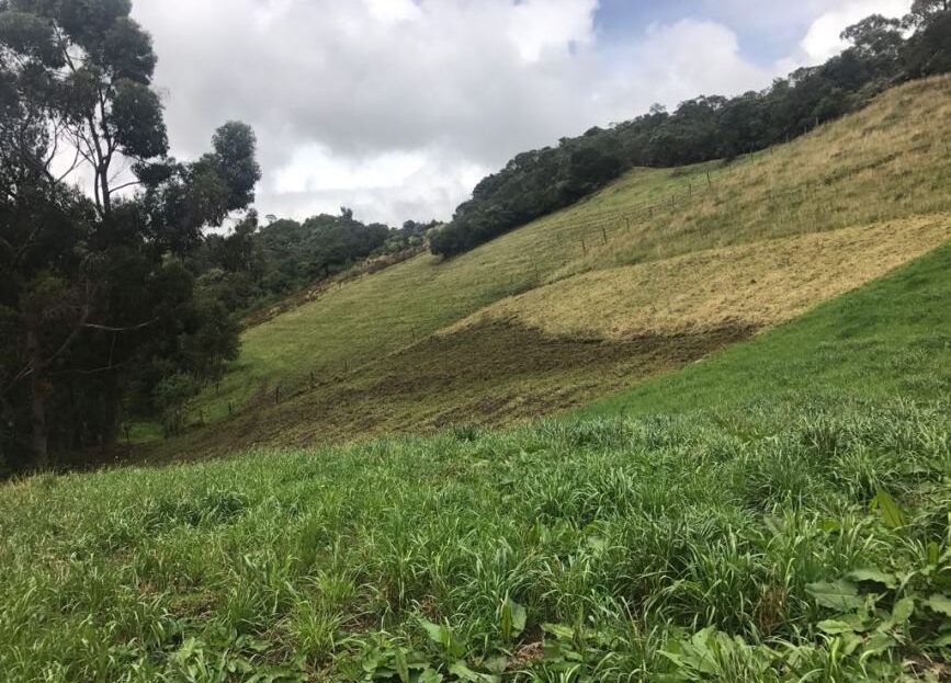 WhatsApp Image 2018 04 04 at 4.09.10 PM 5