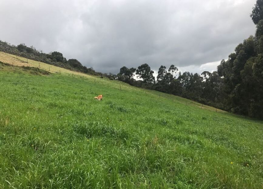 WhatsApp Image 2018 04 04 at 4.09.10 PM 6