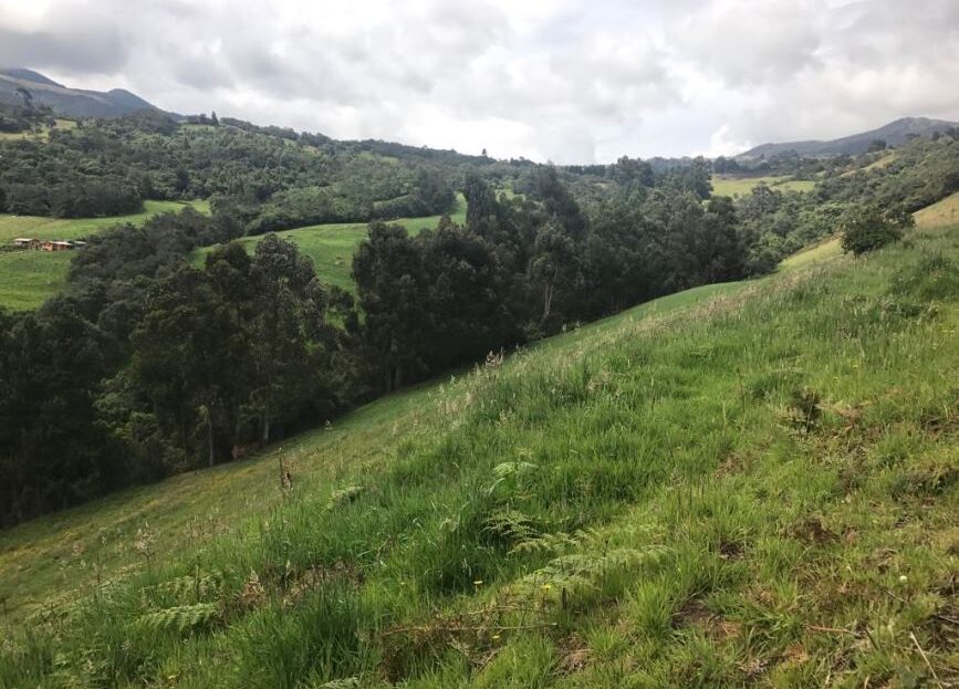 WhatsApp Image 2018 04 04 at 4.10.48 PM 1