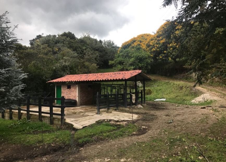 WhatsApp Image 2018 04 04 at 4.11.40 PM 8