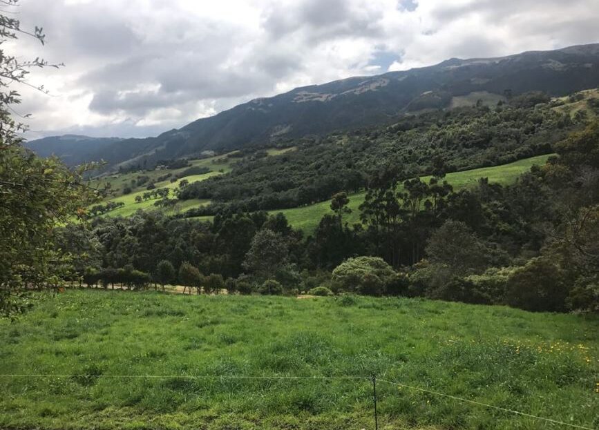 WhatsApp Image 2018 04 04 at 4.12.30 PM