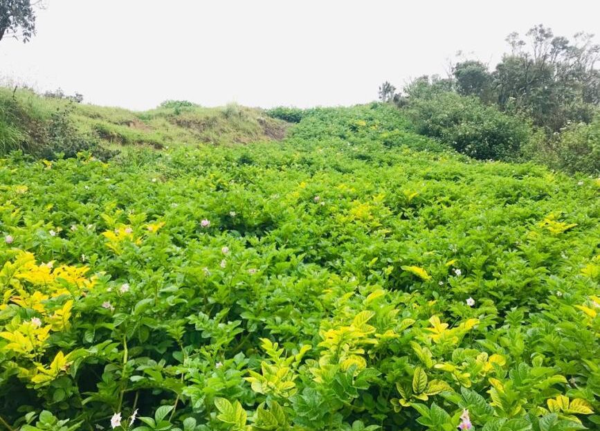 WhatsApp Image 2019 06 19 at 9.38.16 AM 2