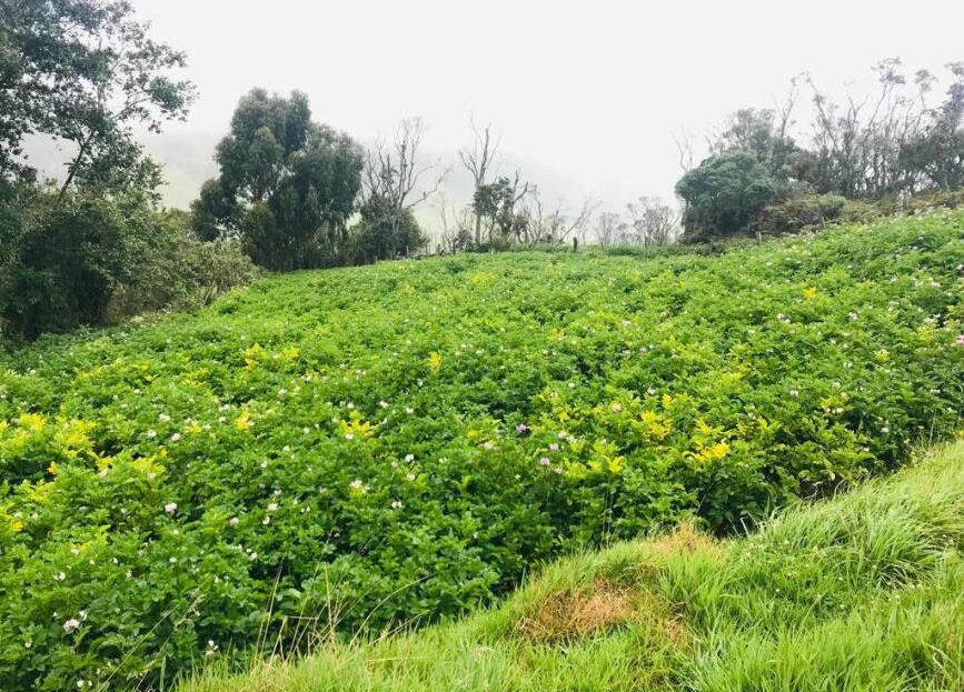 WhatsApp Image 2019 06 19 at 9.38.16 AM 5