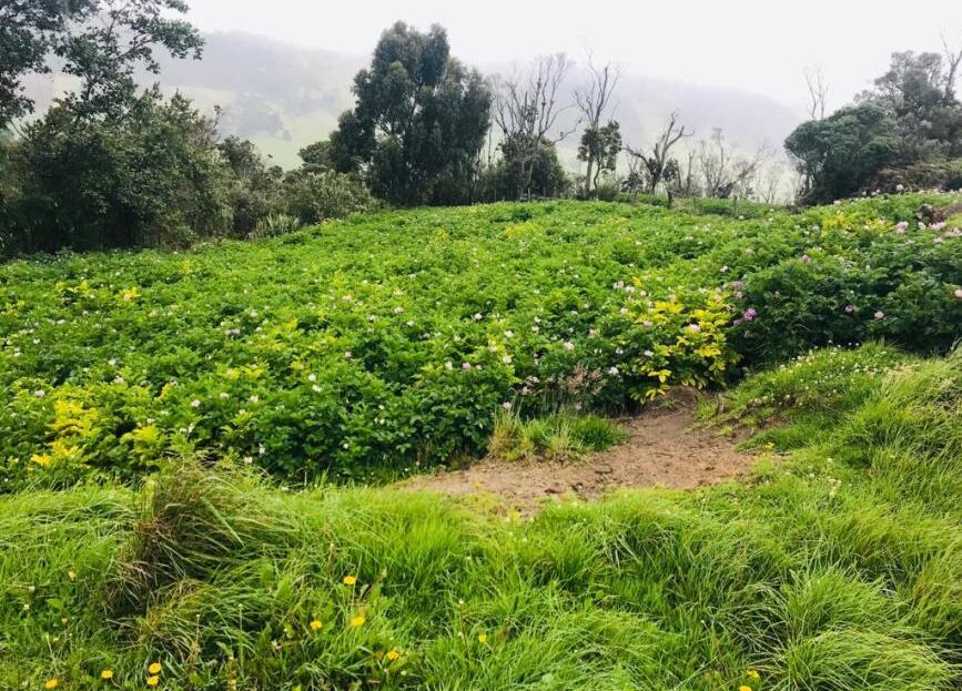 WhatsApp Image 2019 06 19 at 9.38.16 AM 6