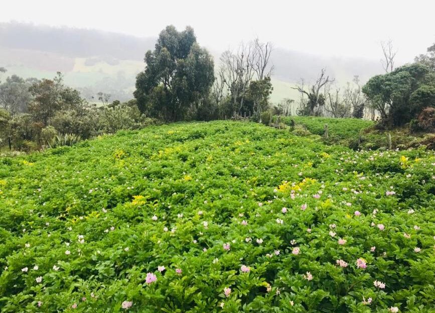 WhatsApp Image 2019 06 19 at 9.38.16 AM 9