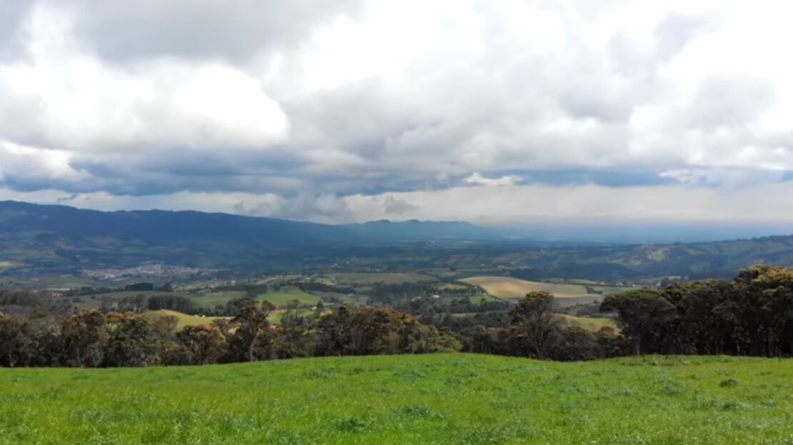 Screenshot 20231005 110604 YouTube