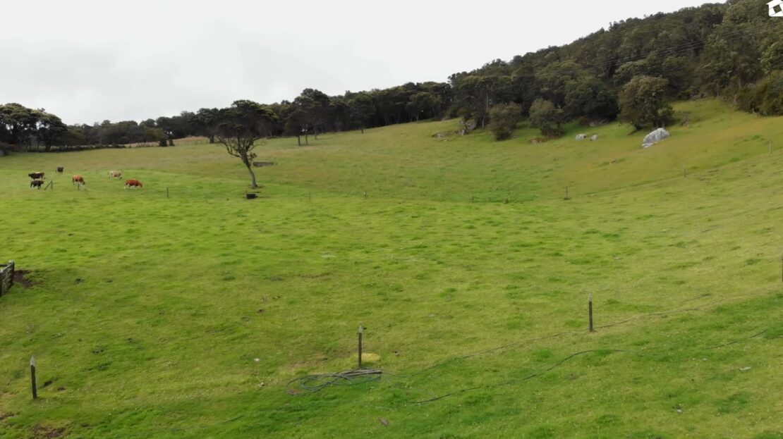 Screenshot 20231005 110629 YouTube