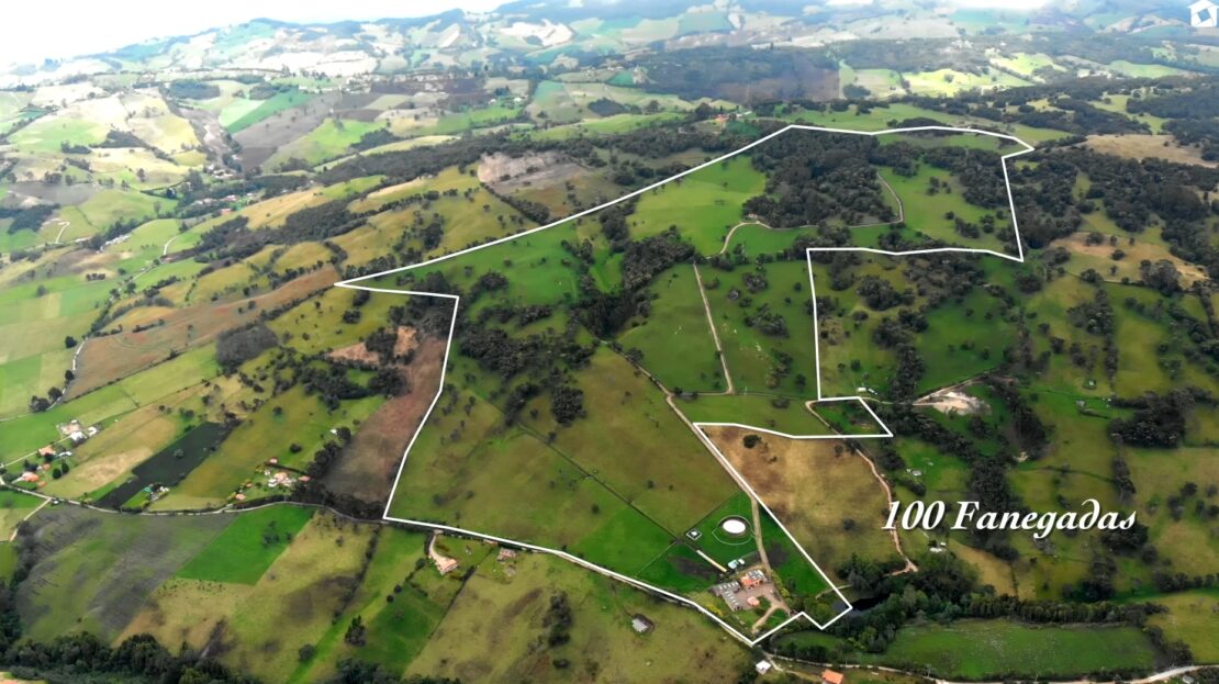 Screenshot 20231005 110652 YouTube