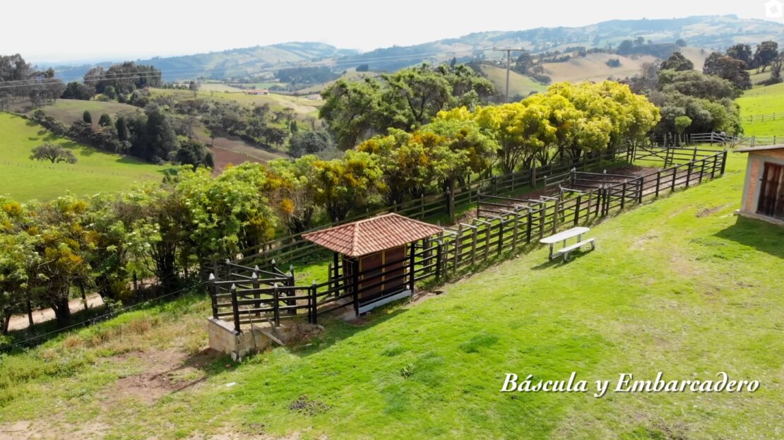 Screenshot 20231005 110946 YouTube