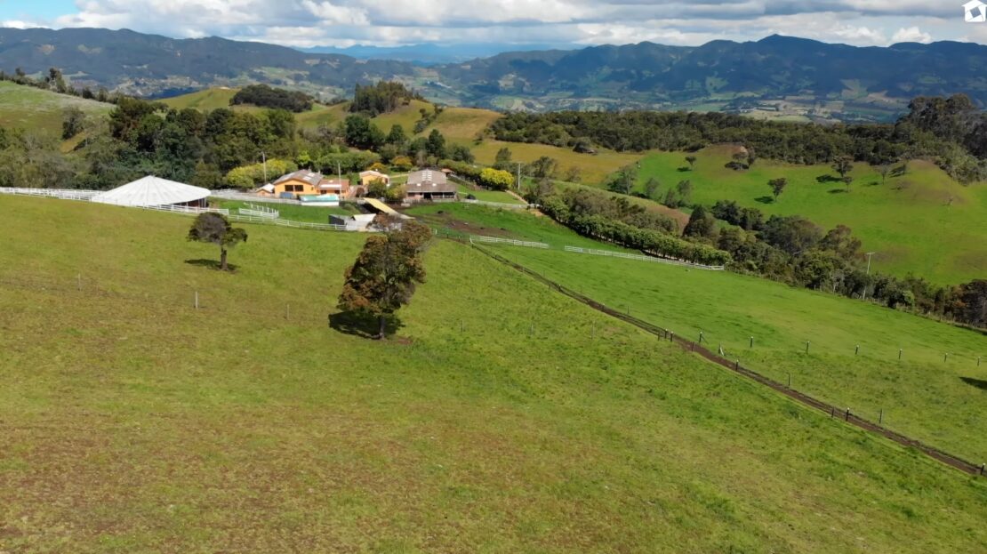 Screenshot 20231005 111028 YouTube