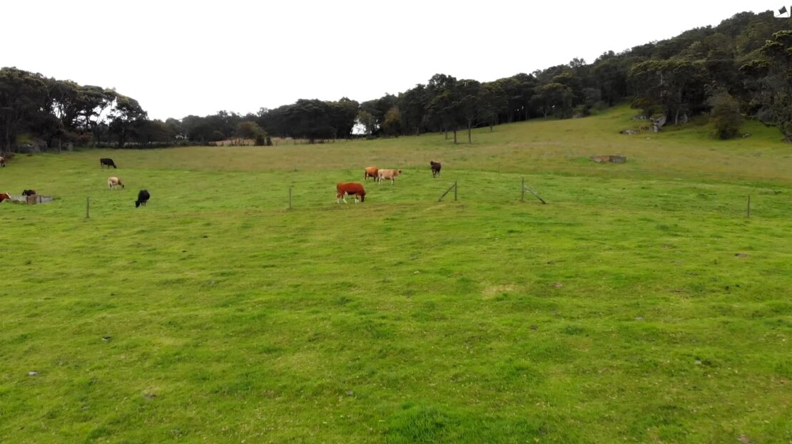 Screenshot 20231005 111153 YouTube