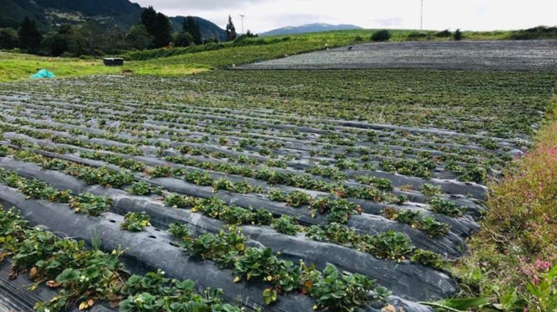 WhatsApp Image 2021 07 09 at 12.53.05 PM 10