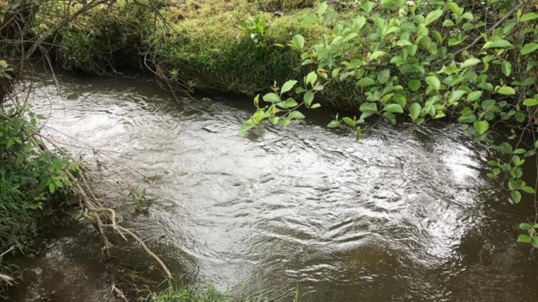 WhatsApp Image 2021 07 09 at 12.53.05 PM