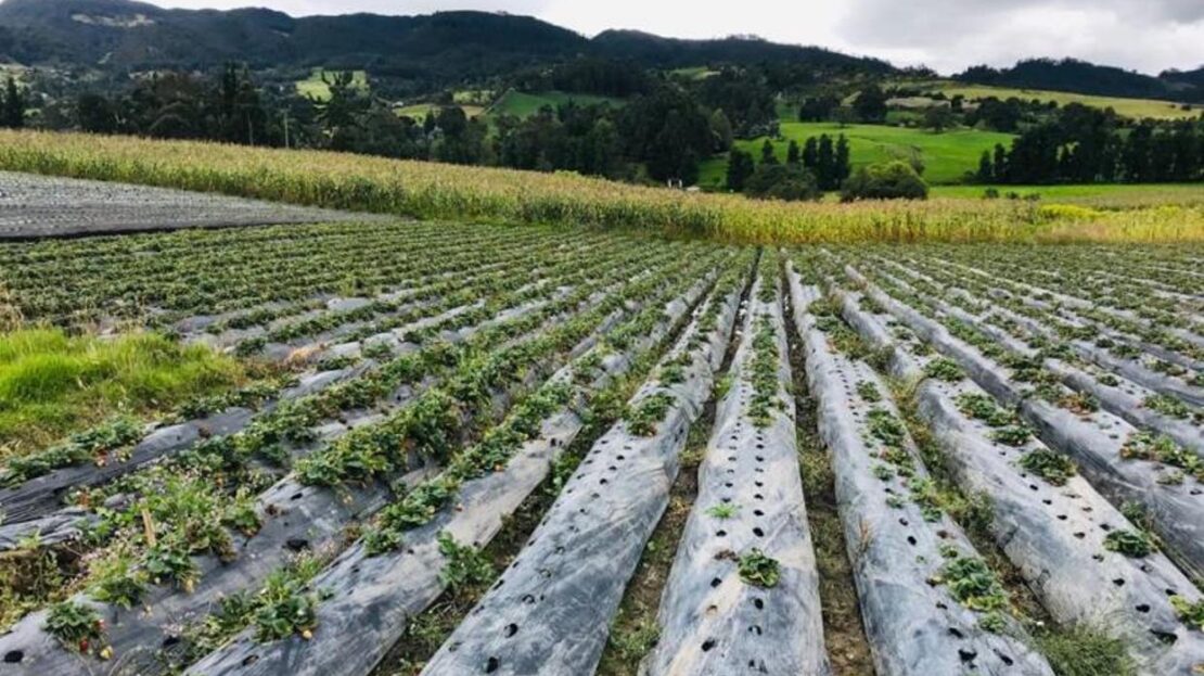 WhatsApp Image 2021 07 09 at 12.53.05 PM 13