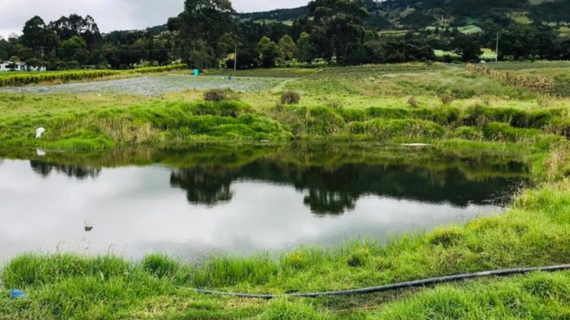 WhatsApp Image 2021 07 09 at 12.53.05 PM 14