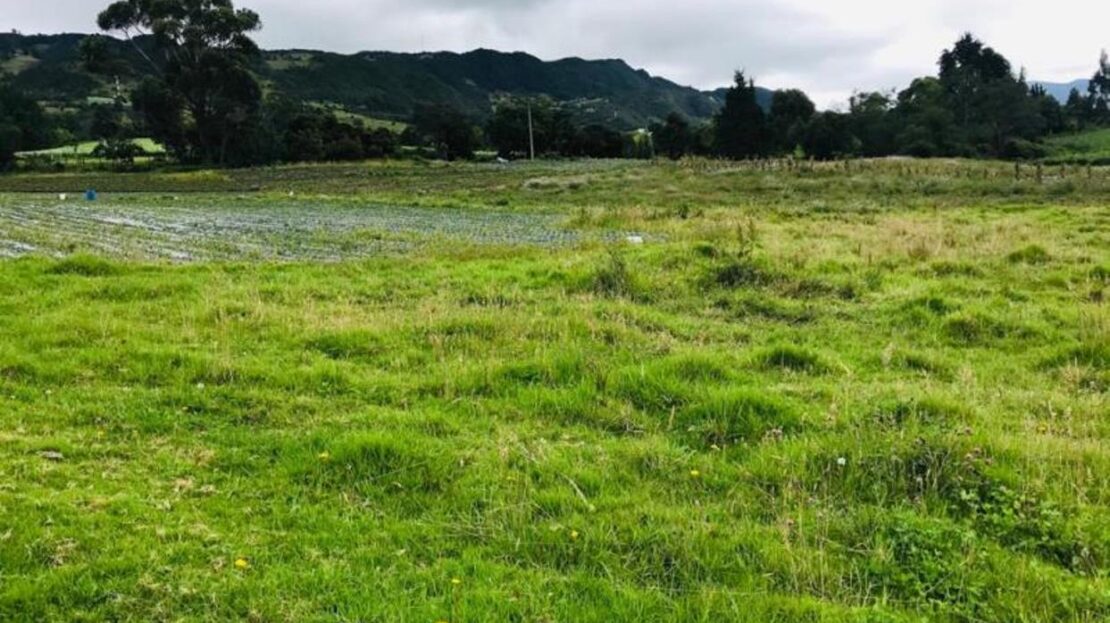 WhatsApp Image 2021 07 09 at 12.53.05 PM 16