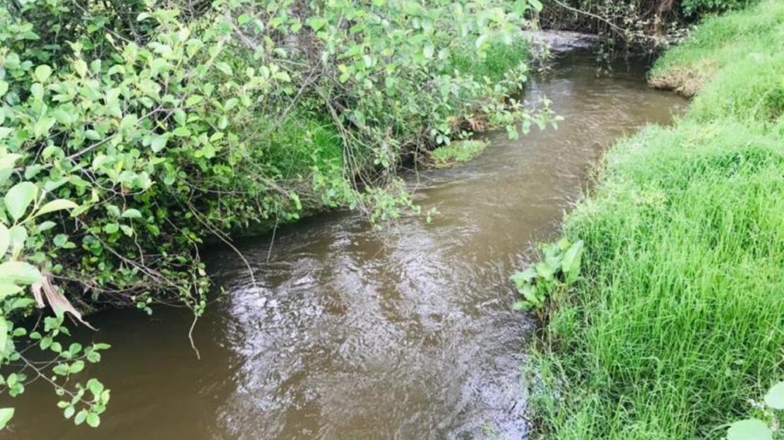 WhatsApp Image 2021 07 09 at 12.53.05 PM 2