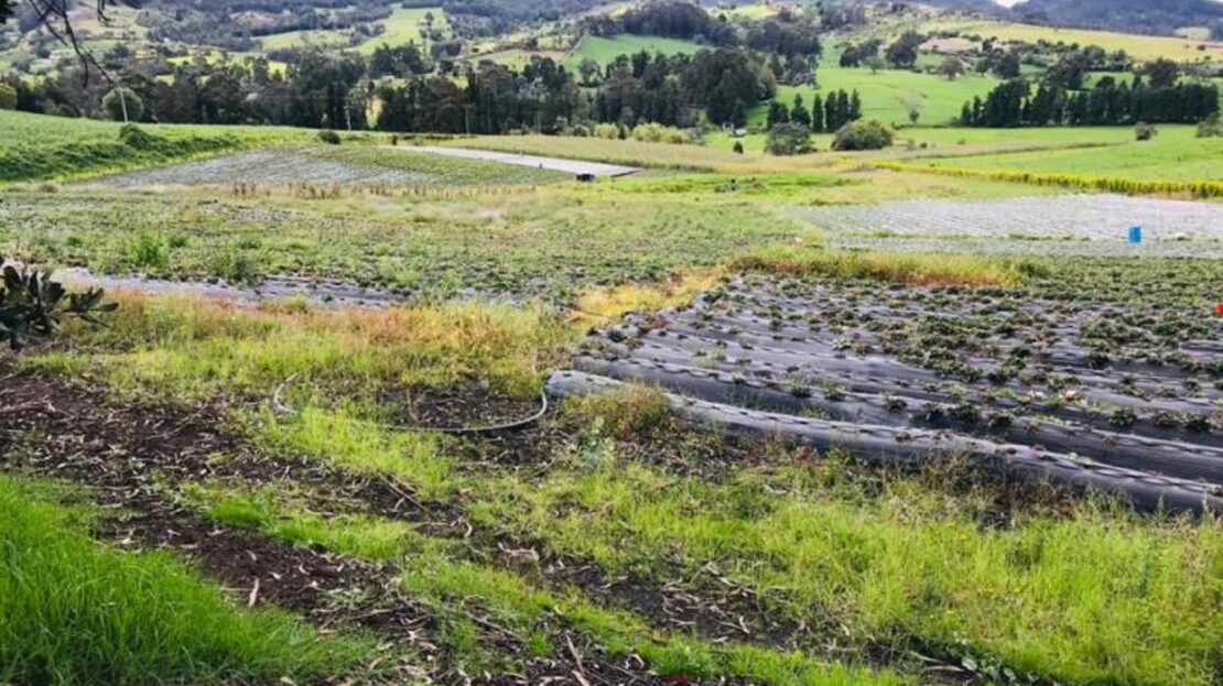 WhatsApp Image 2021 07 09 at 12.53.05 PM 21