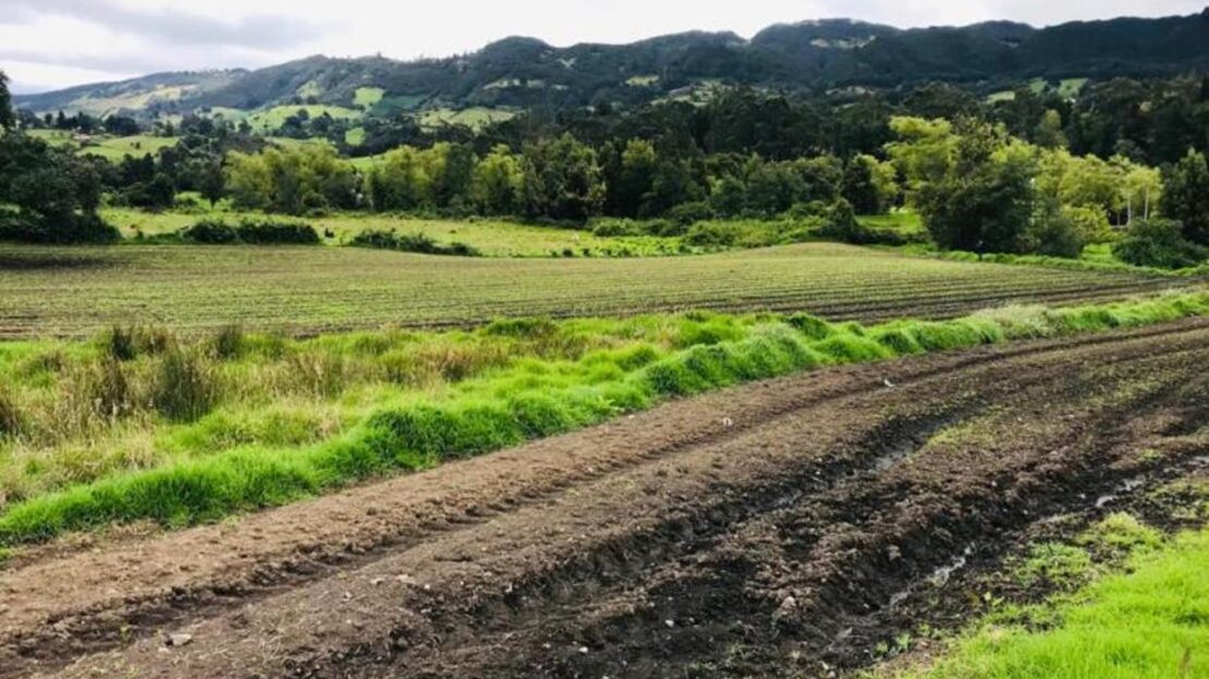 WhatsApp Image 2021 07 09 at 12.53.05 PM 6