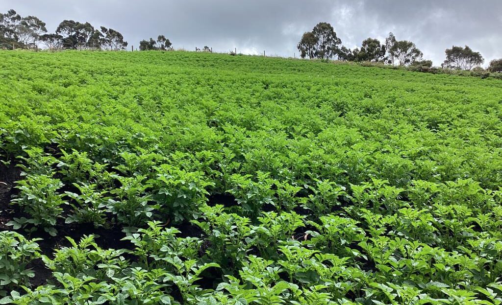 WhatsApp Image 2022 07 22 at 12.29.24 PM 1