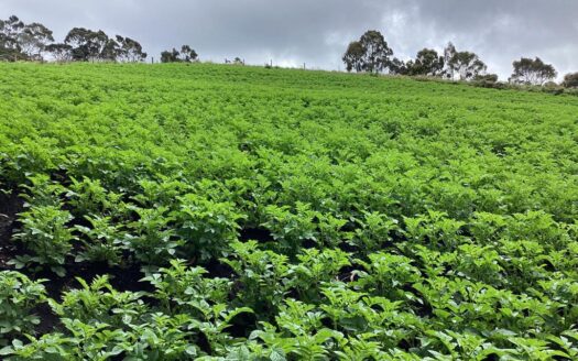 WhatsApp Image 2022 07 22 at 12.29.24 PM 1