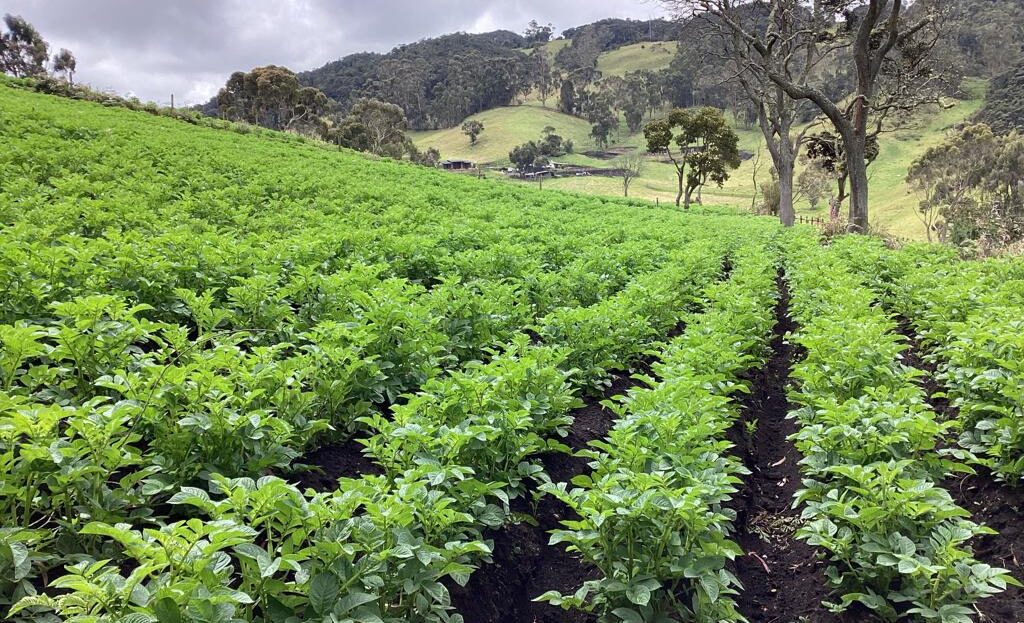 WhatsApp Image 2022 07 22 at 12.29.24 PM