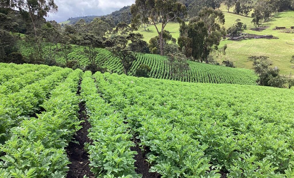 WhatsApp Image 2022 07 22 at 12.29.24 PM 11