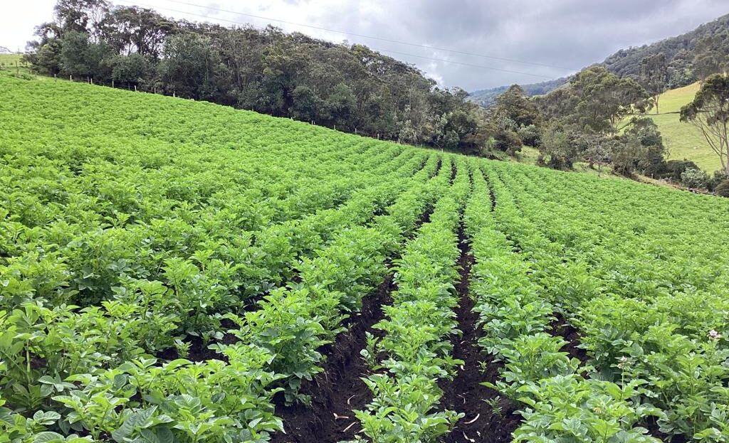 WhatsApp Image 2022 07 22 at 12.29.24 PM 2