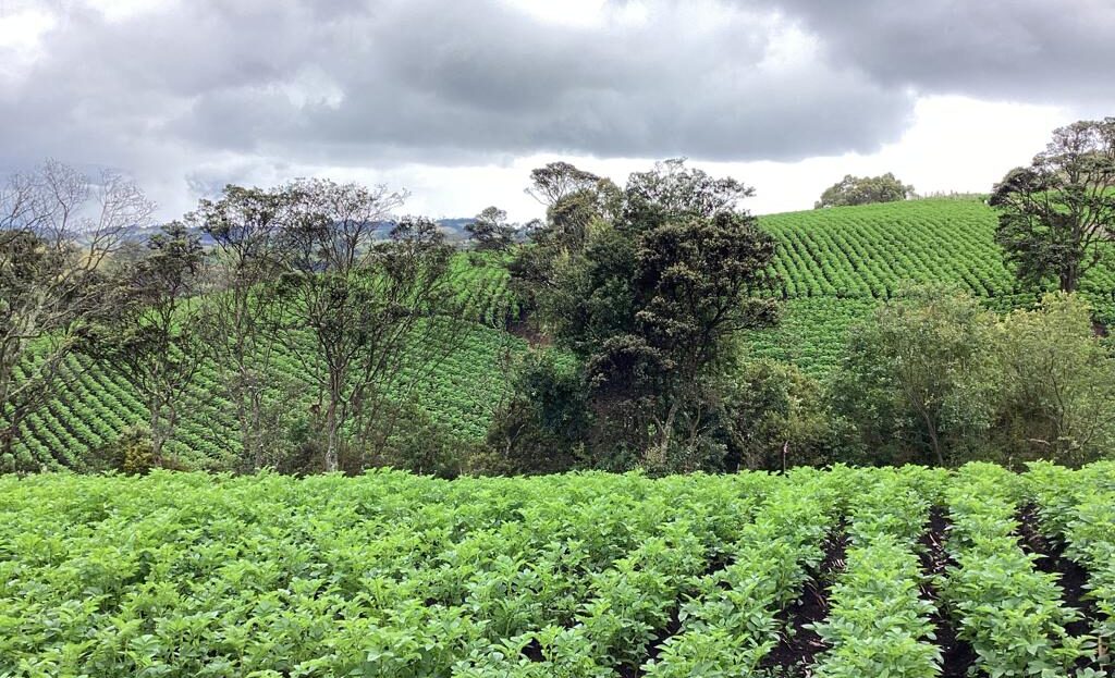 WhatsApp Image 2022 07 22 at 12.29.24 PM 4