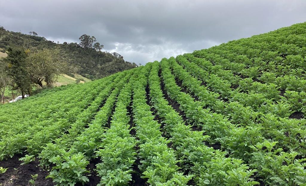 WhatsApp Image 2022 07 22 at 12.29.24 PM 6