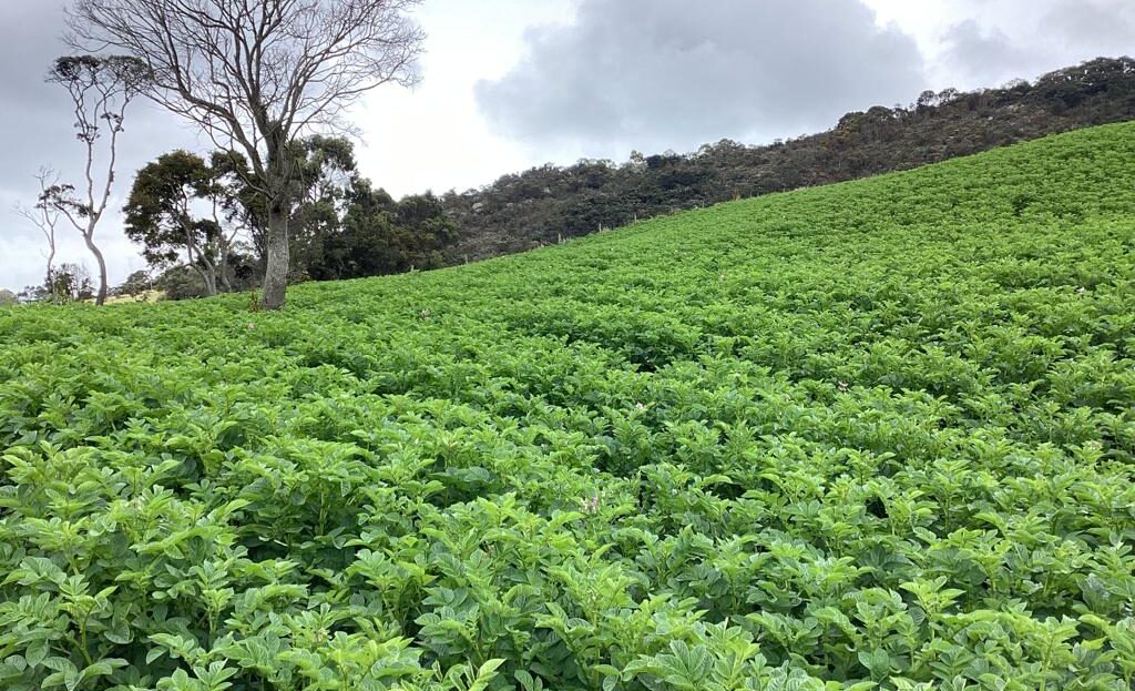 WhatsApp Image 2022 07 22 at 12.29.24 PM 8