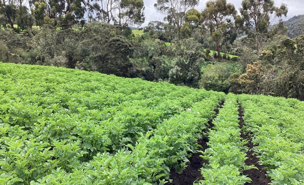 WhatsApp Image 2022 07 22 at 12.29.25 PM 1