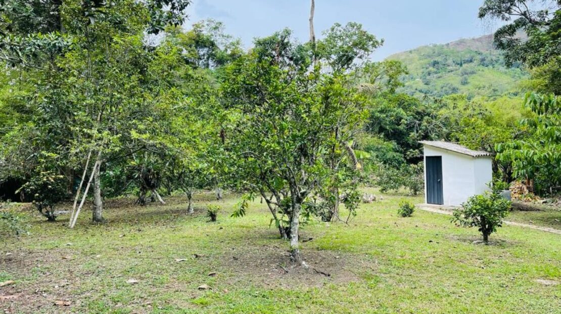 WhatsApp Image 2023 11 10 at 12.10.02 10