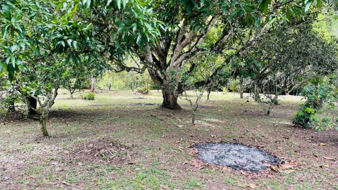 WhatsApp Image 2023 11 10 at 12.10.02 11