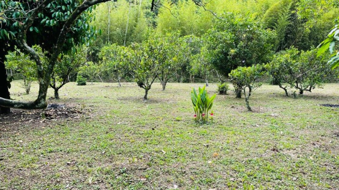 WhatsApp Image 2023 11 10 at 12.10.02 12