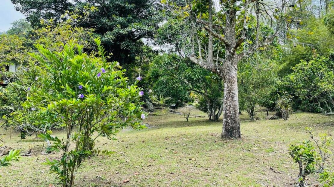 WhatsApp Image 2023 11 10 at 12.10.02 13