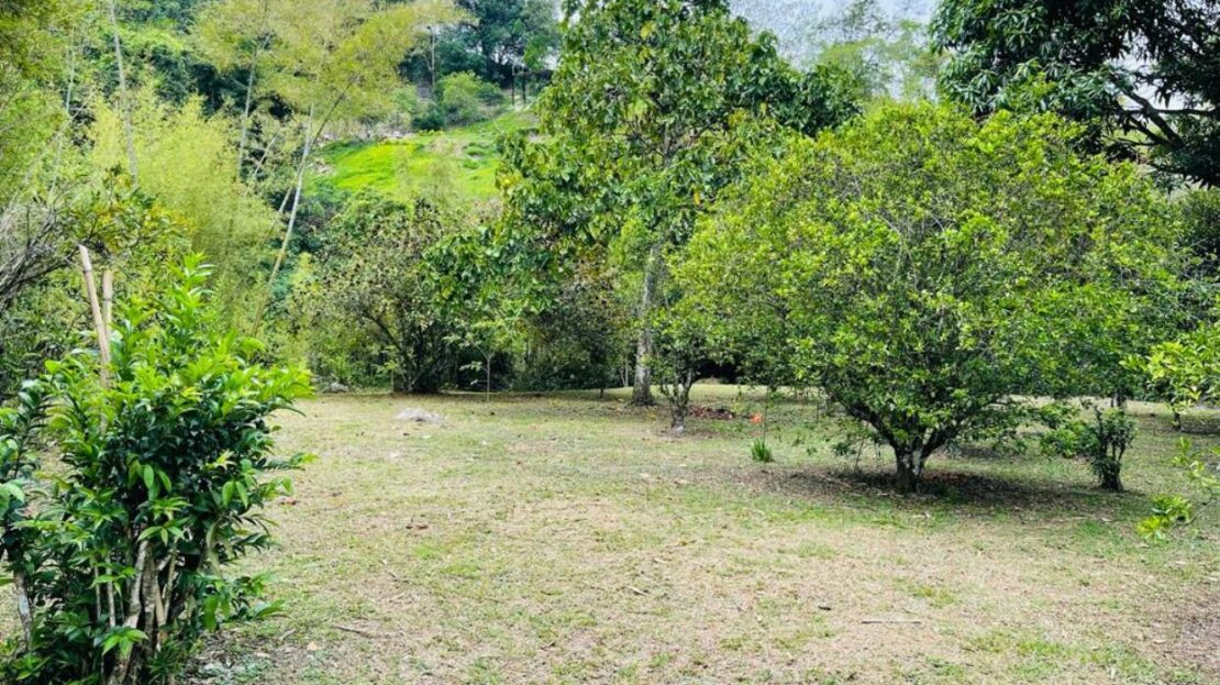 WhatsApp Image 2023 11 10 at 12.10.02 14