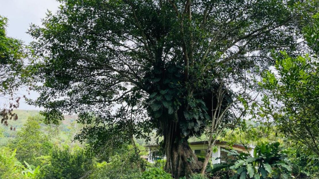 WhatsApp Image 2023 11 10 at 12.10.02 17