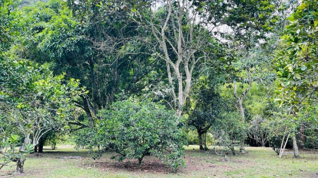 WhatsApp Image 2023 11 10 at 12.10.02 9