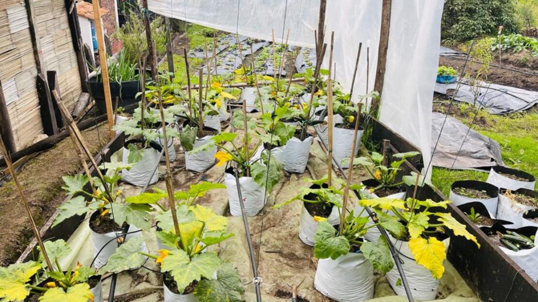 WhatsApp Image 2023 11 10 at 13.35.53 16